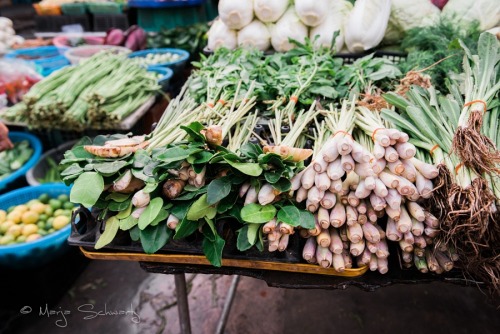 Bunches of Lemongrass at Market