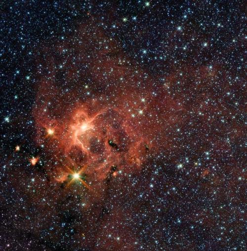 Massive Young Star And Its Cradle