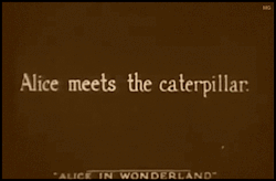 the-absolute-best-posts:  mothgirlwings: “Alice In Wonderland” (1915)   My lovely followers, please follow this blog immediately!