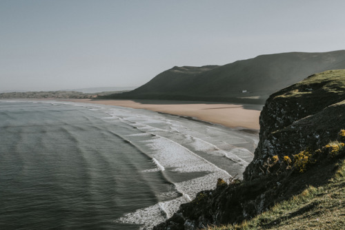 ponderation:Welsh Gorse by Lydia Harper        Photographer’s Website 