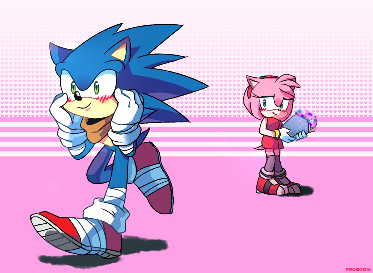 photo Sonic And Amy Kiss proboom s art sonic um hi ames