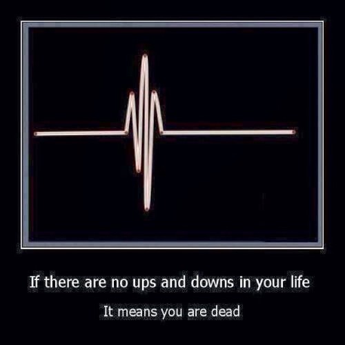 philthethrillmusic:  Live.. learn..& persevere..