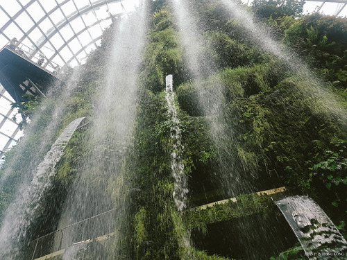 [ 花園國的迷想 ]我遊新加坡其中一個最大的目的就是到濱海灣花園，從構思圖、到落實興建、到開幕、到網上報導我都有一一留意，不得不提就是我一直只有想和望，從來沒有出行的念頭，外遊就是回鄕拜山或公司公幹。