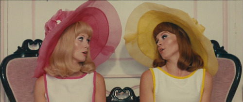marcelanunes:Catherine Deneuve and Françoise Dorléac in Les Demoiselles de R
