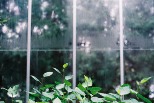 bittens:untitled by sheri* on Flickr.