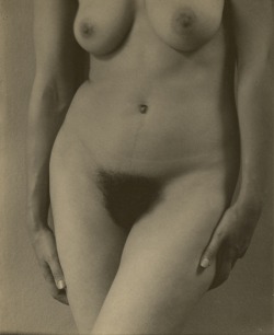 houkgallery:  Alfred Stieglitz (American, 1864-1946)Georgia O’Keeffe: Torso, 1918-1919   thick bush