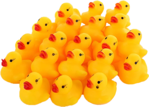 duck army!!