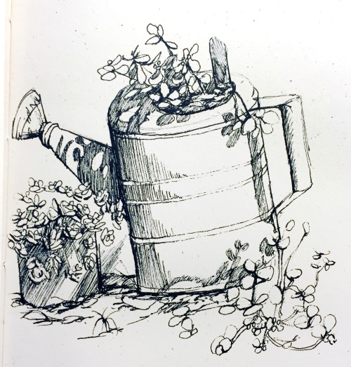 Another sketchbook post! Plants growing in very unusual places~