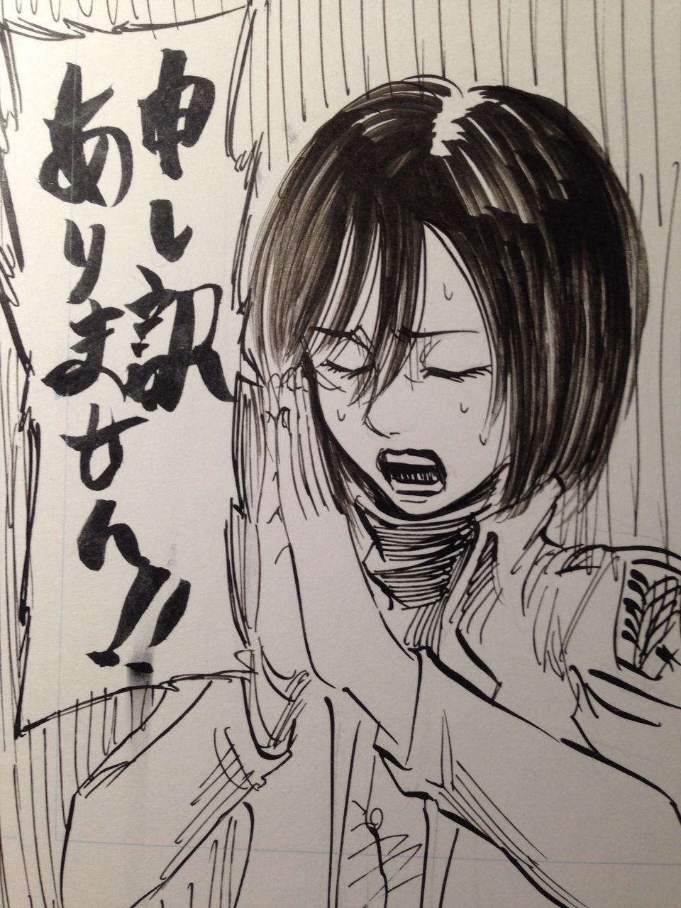  Sketch of Mikasa by Isayama (Via his blog)!  He&rsquo;s apologizing for responding