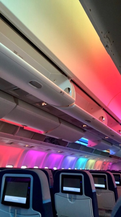 baebeebunny:my flight was so colorful
