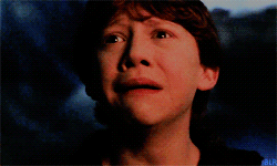 Harry Potter And The Chamber Of Secrets 02 Vs Rupert Grint