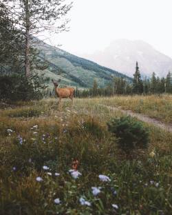 simply-divine-creation:  Forrest Mankins