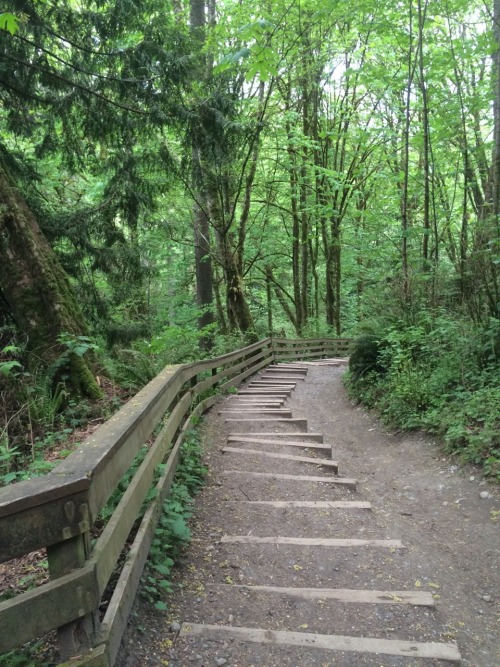 Meadowdale Beach Park, 04.23.16 by: pnwtexan … I recently moved to the Lynnwood area and foun