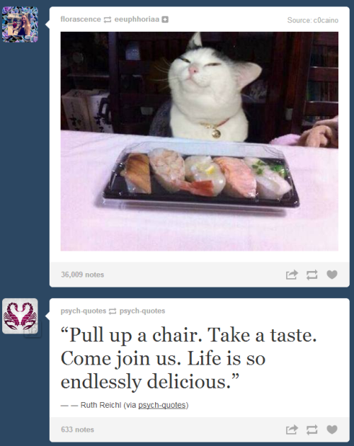 psych-quotes:  http://halosydne.tumblr.com/  My dash did this. I thought it went together really well.  