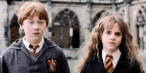 siriusblcck:You see Weasley, unlike some, my father can afford the best.