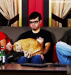 :  ↳ ray + joe the cat 