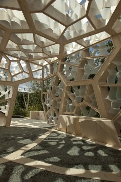 Nonconcept:  The Times Eureka Pavilion By Nex &Amp;Amp; Marcus Barnett.