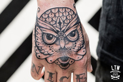 ltwtattoo:  Owl by Cisco. LTW Tattoo Studio.