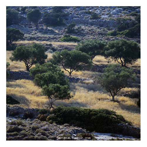 iraklia © 2020 Yiannis Krikis