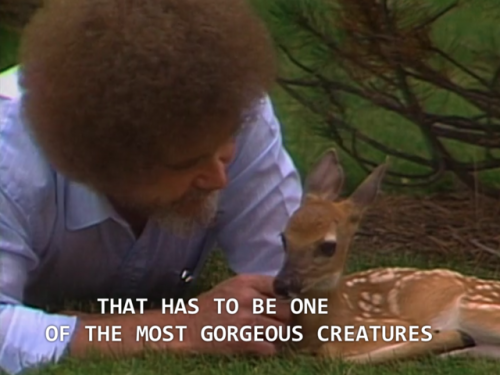 blueboyluca: Bob Ross gets it.