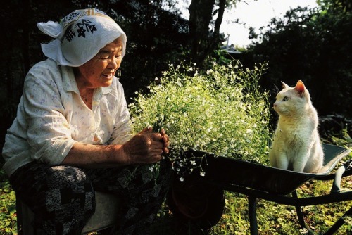 mymodernmet:The Adorable Story of a Grandmother and Her Cat