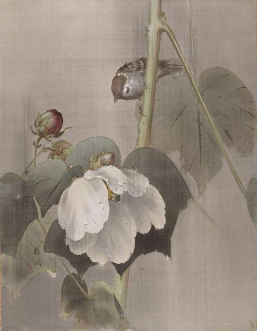 Mori Sosen, Stag amid Autumn Flowers, detail of a Hanging Scroll, before 1807. 2 Maruyama Ōkyo, Two 