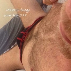 colbertlittlelegs:  Colbertlittlelegs #jockstrapfriday 21.3.14 #nastypig #gay #hairy