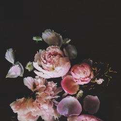 floralls:    by  zhannakruk  