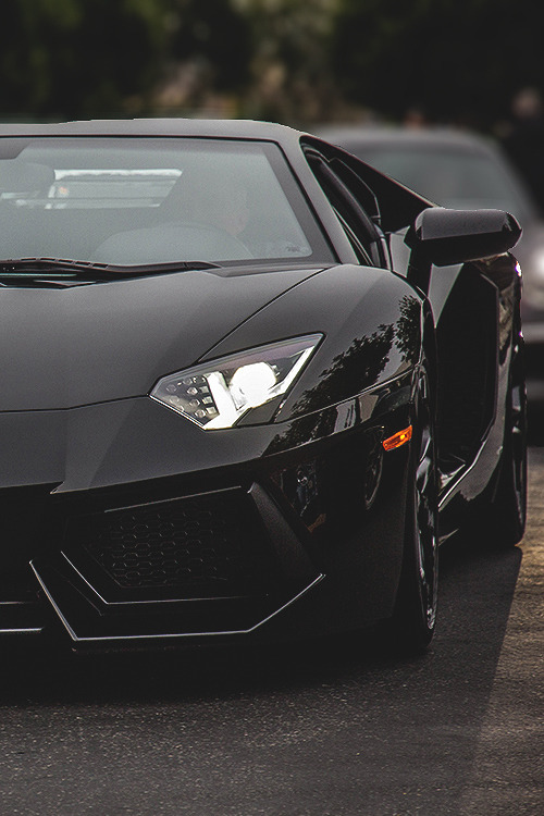 Premium Elegance.