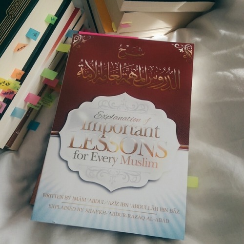 Book Recommendation:  Explanation of Important Lessons For Every Muslim  Written By Shaykh