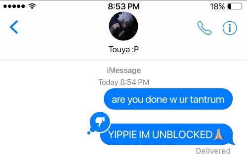 Random Touya Texts 