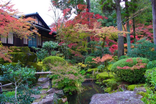 eclectic-and-passionate-blog - Eclectic and passionate