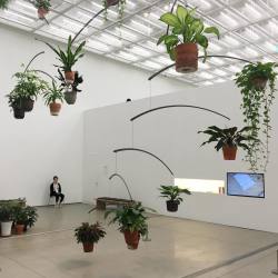 strang2r:  air garden (at 국립현대미술관 서울관 National Museum of Modern and Contemporary Art, Seoul)