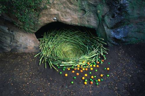 01030104: culturenlifestyle: Land Art Installations Aesthetically Disrupt The Natural Scene German p