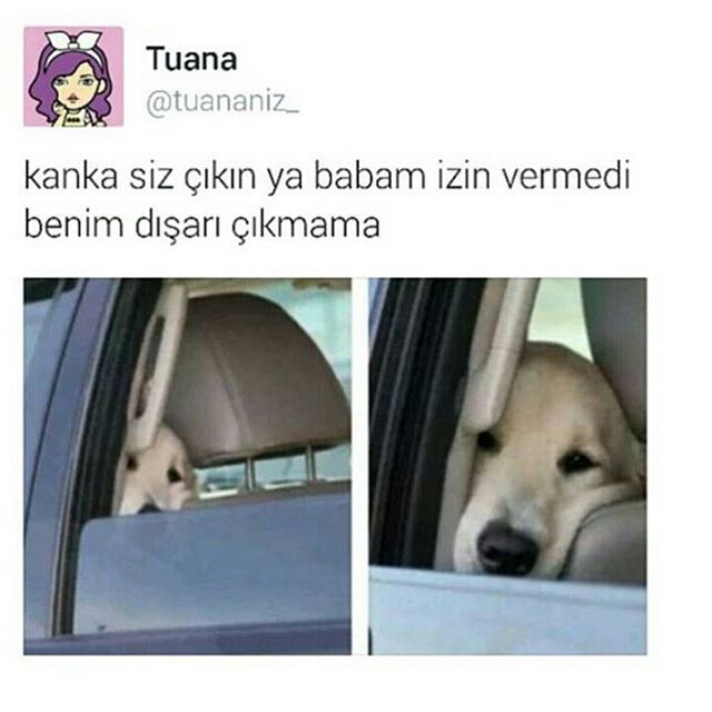 Kanka siz çıkın ya babam...