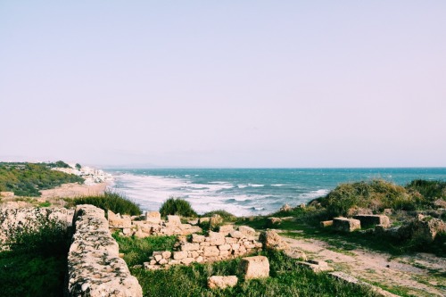 smallyabroad:Some views from Selinunte in Sicily. Couldn’t resist adding some of my own Selinu