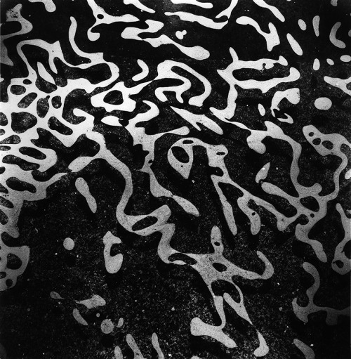 Lucien Clergue, Hommage à Matisse, Fontaines du Seagram&rsquo;s 1961, New York, 