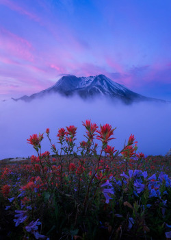 coiour-my-world:Mount St. Helens | by xjtian 