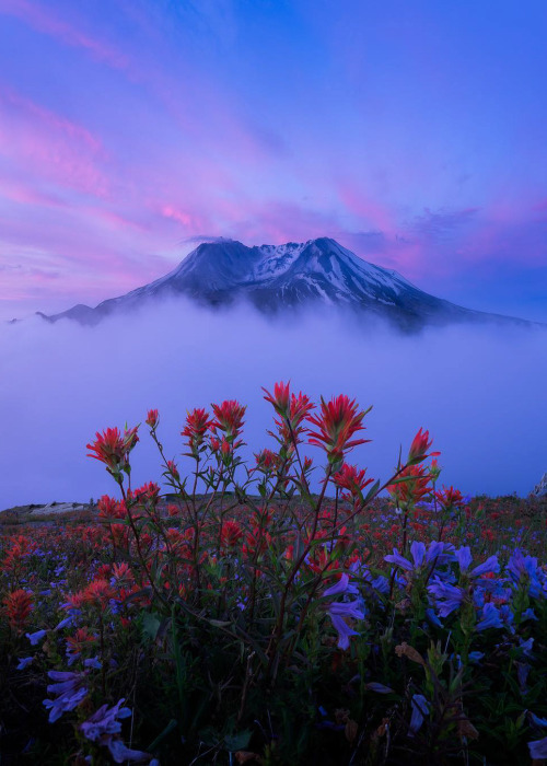 coiour-my-world:Mount St. Helens | by xjtian 