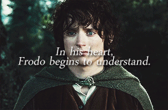 pointyearedelvishprinceling:  The Lord of the Rings meme - The Ring-bearer 