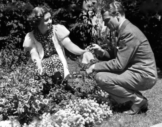 Vintage Celebrities in the Garden ? ?‍?