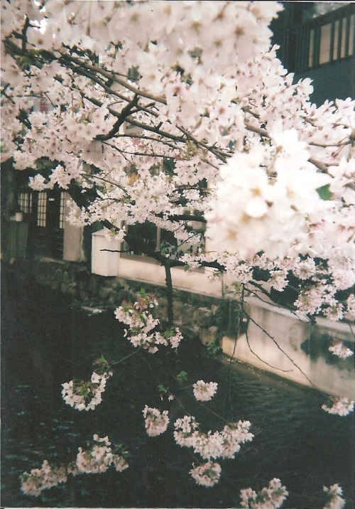 wtsxsy.tumblr.com/post/83772234049/