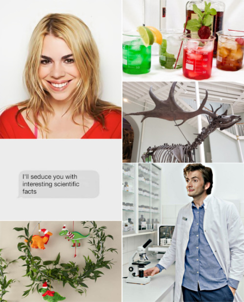 lostinfic: Fic teaser:John Smith and Rose Tyler both work at the Natural History Museum in London, h