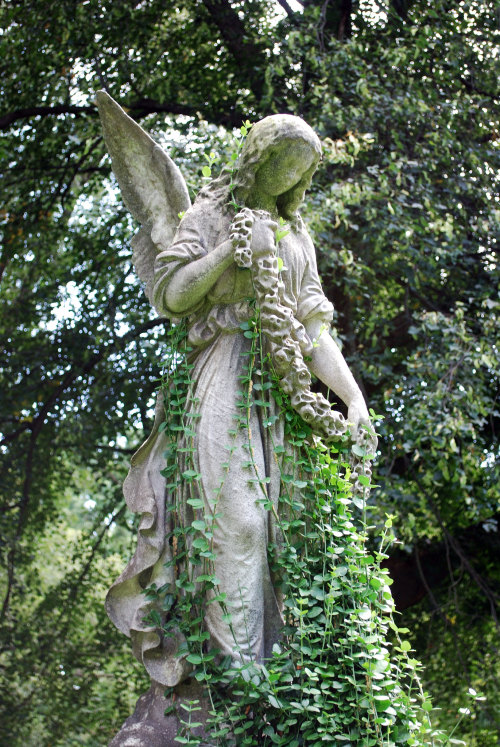 mynocturnality:An angel becoming one with her surroundings at Forrest Hills Cemetery