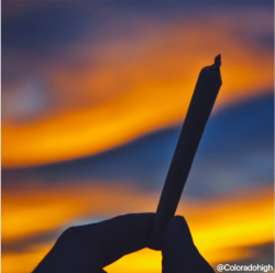 massrootsapp:  Coloradohigh smokin pearls at sunset ;P Learn to roll a cone here! 