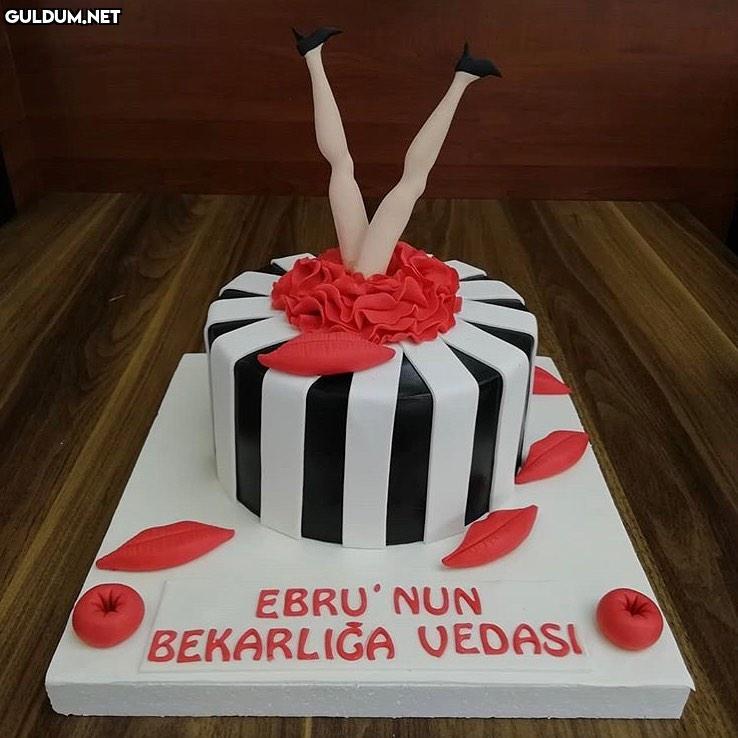 EBRU'NUN
BEKARLIGA VEDASI