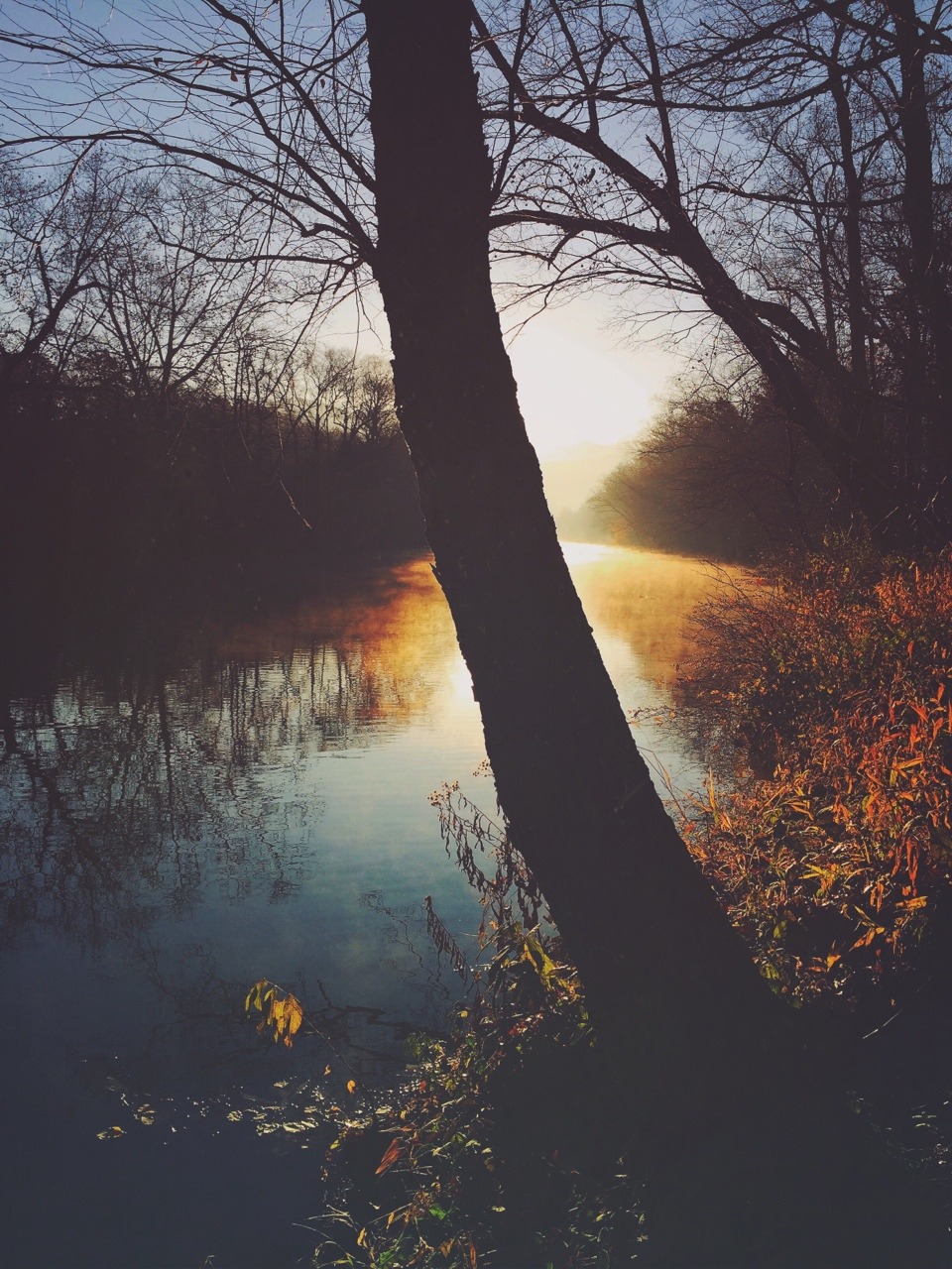 themountainlaurel:  And the peace of God, which surpasses all understanding, will