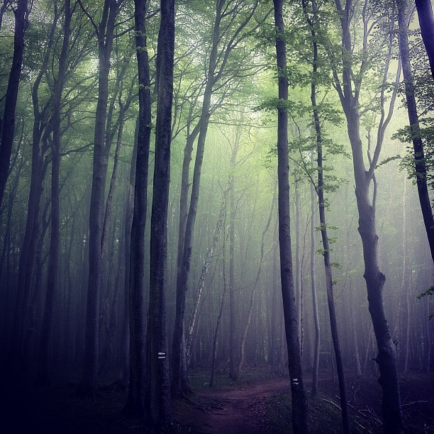 listen-rain-on-rof:  Had to share this @WeHeartIt http://weheartit.com/entry/169533491/via/Hazza_in_love