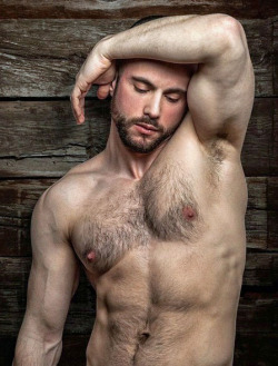 armpitluvrs:  Hairy Stud 