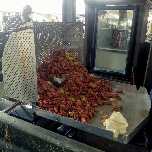 Deep South, crawfish, New-Orleans, Louisiana USA (2014)